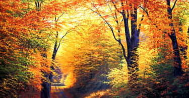landscape nature Best Autumn Wallpaper