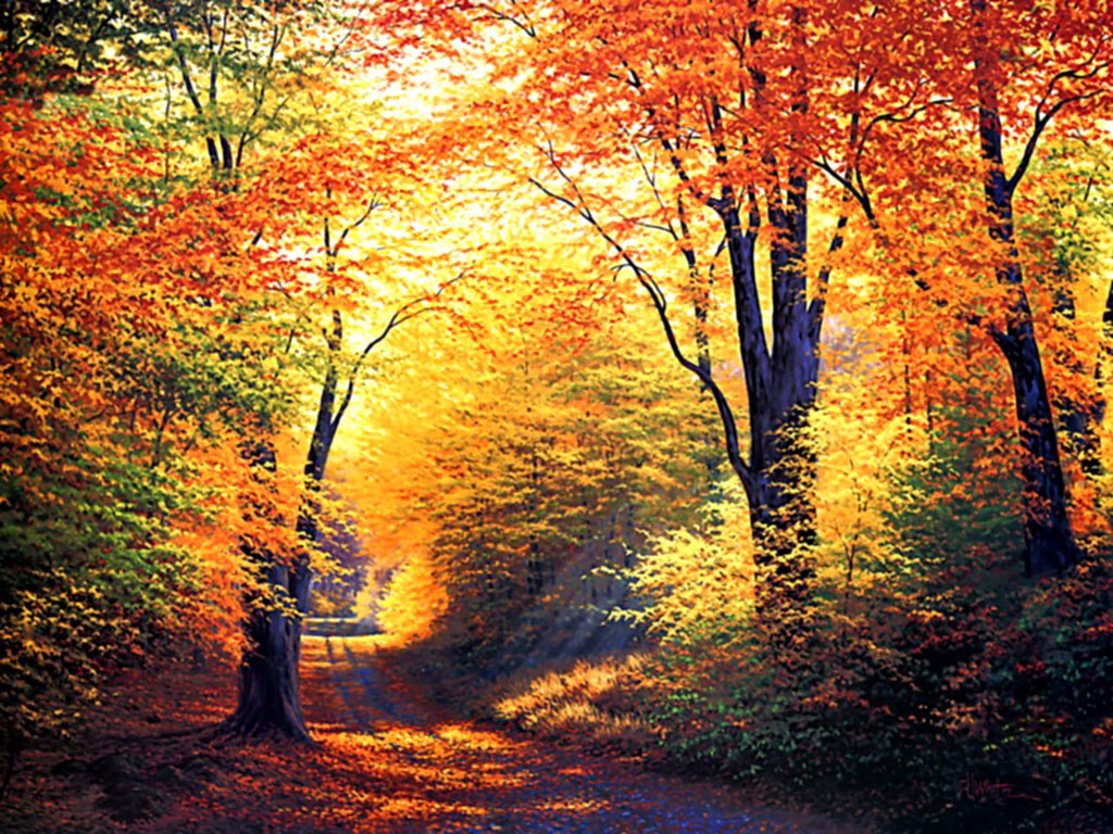 landscape nature Best Autumn Wallpaper