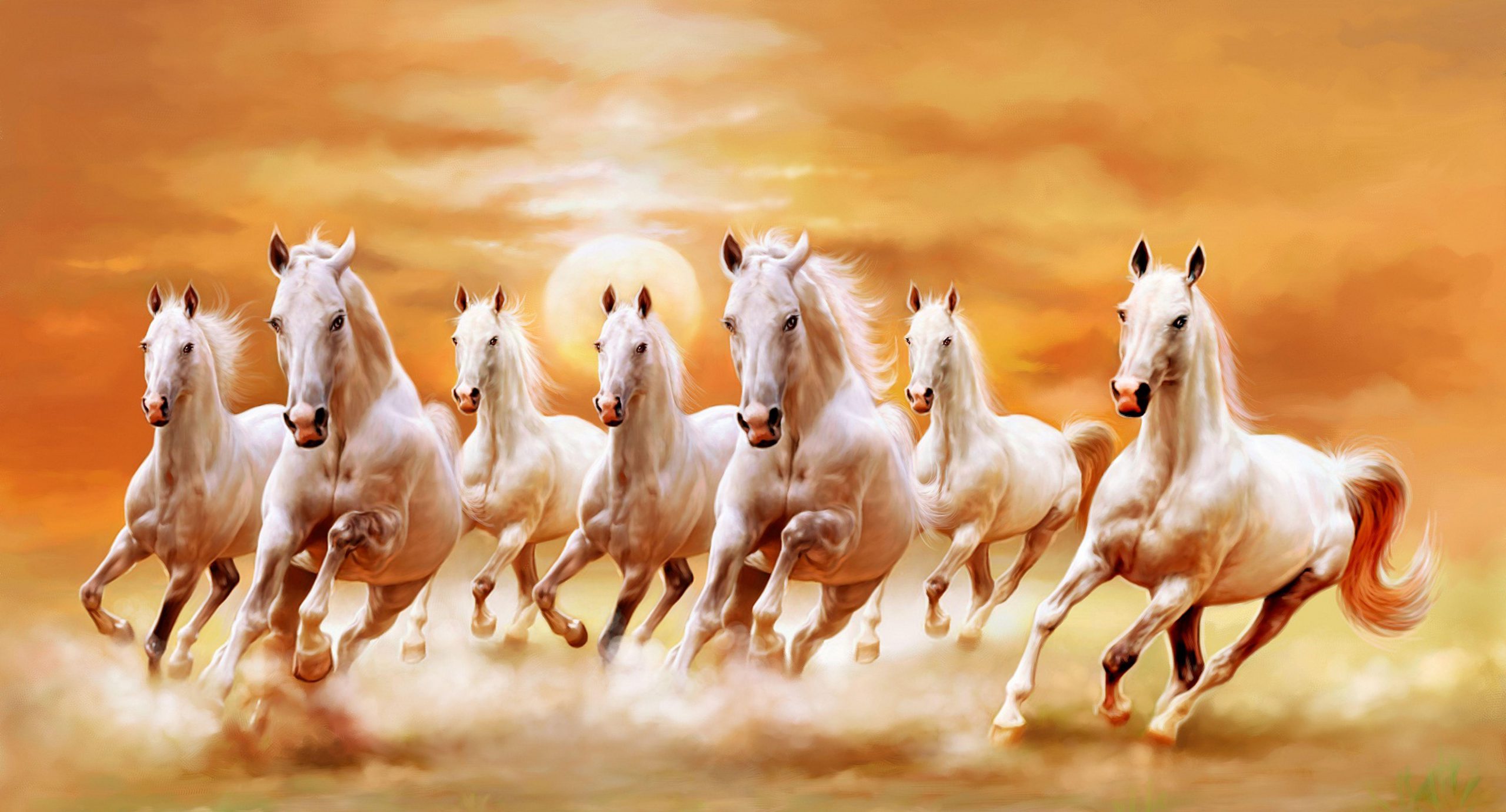 beautiful White Horse Wallpaper