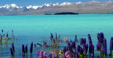 cool nature Lake Tekapo Wallpaper