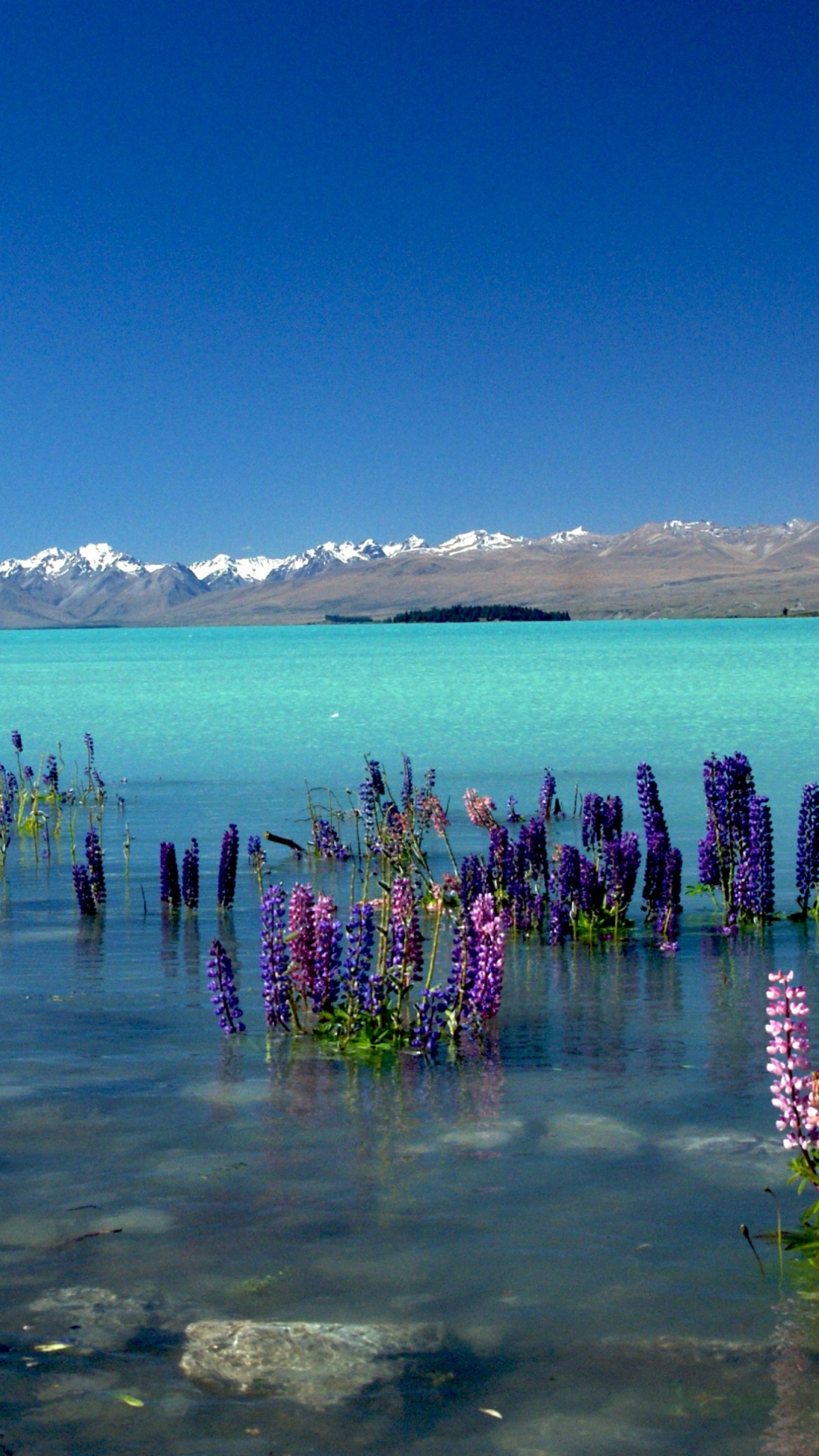 cool nature Lake Tekapo Wallpaper