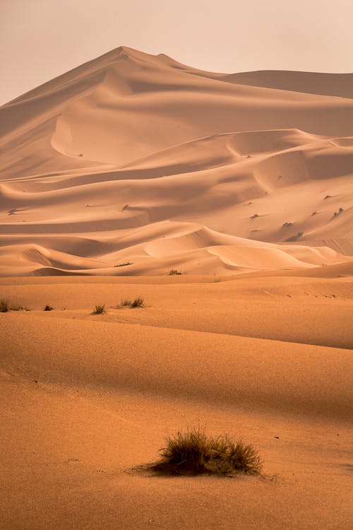 high quality HD Desert Wallpaper