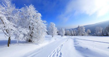 awesome natural HD Winter Backgrounds