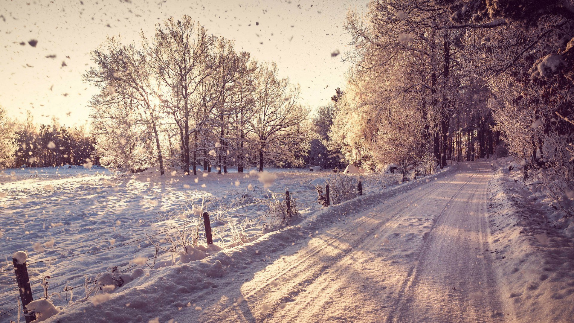 beautiful natural HD Winter Backgrounds