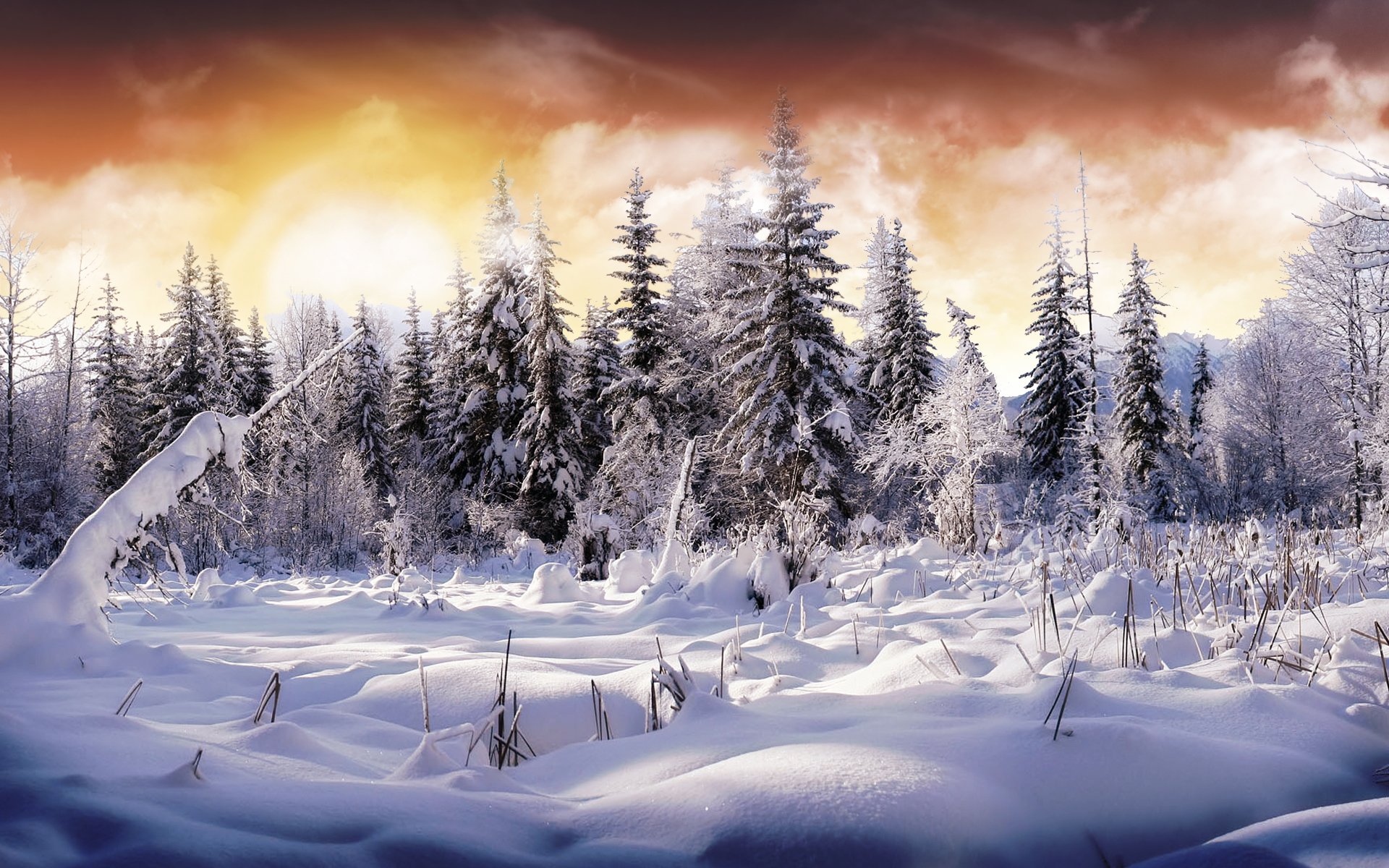 landscape nature HD Winter Backgrounds