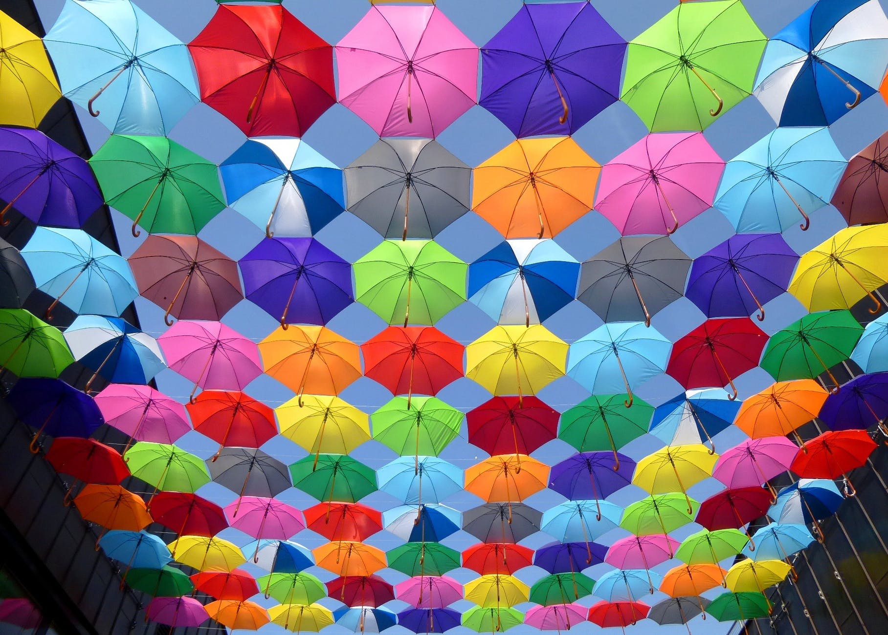 yellow and blue umbrellas image