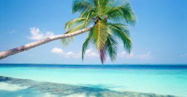 small Tropical Island Wallpaper