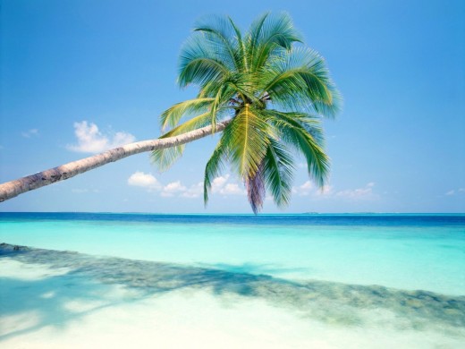 small Tropical Island Wallpaper