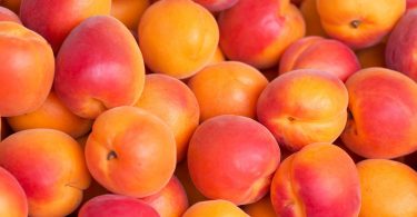 food Apricot Wallpaper