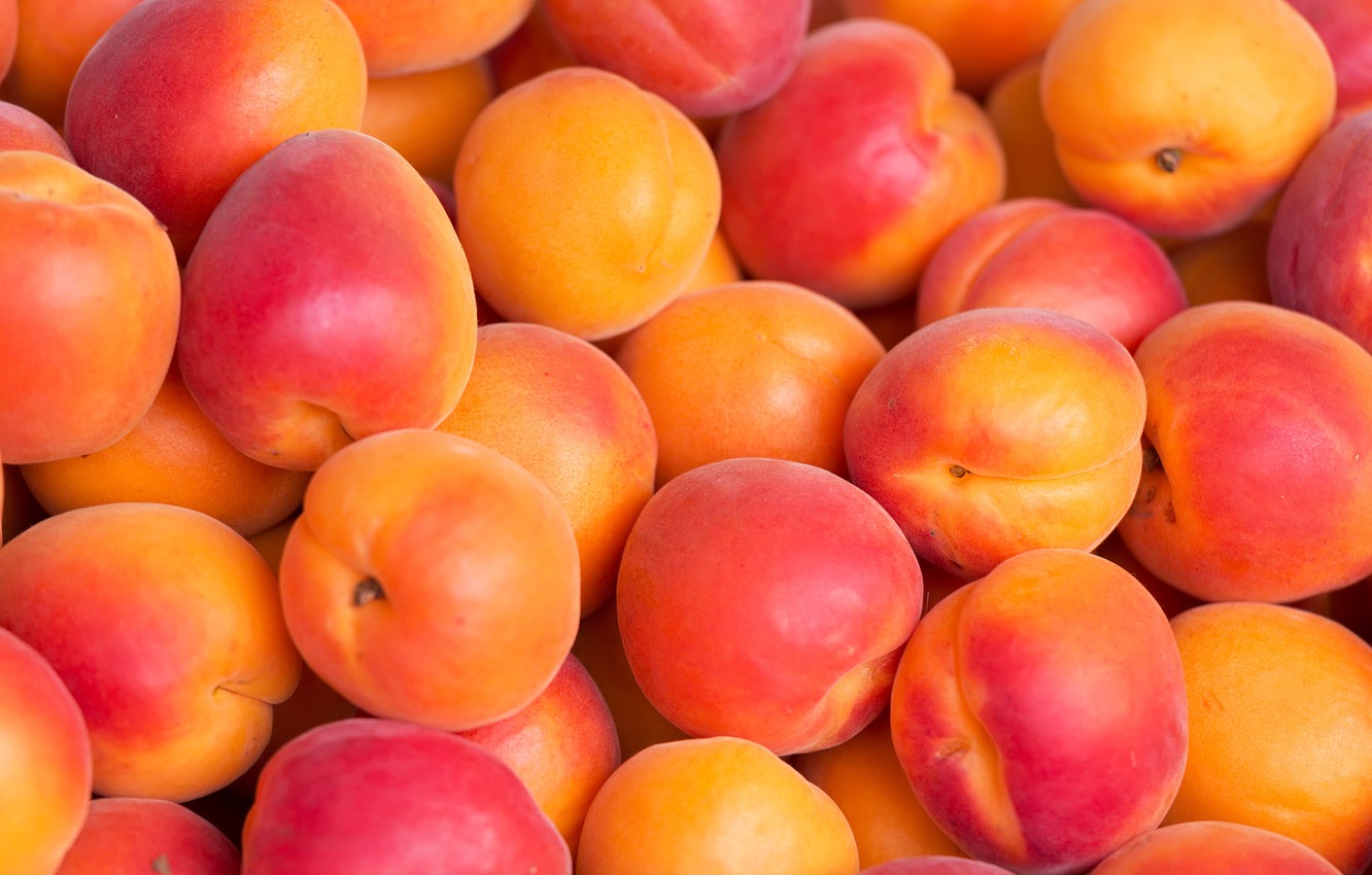 food Apricot Wallpaper