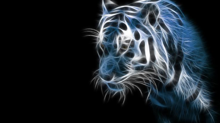 beautiful hd Tiger Wallpaper