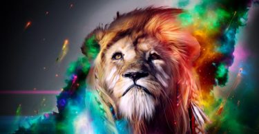 colorful hd Lion Wallpaper