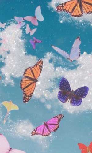 stunning Butterfly Wallpaper