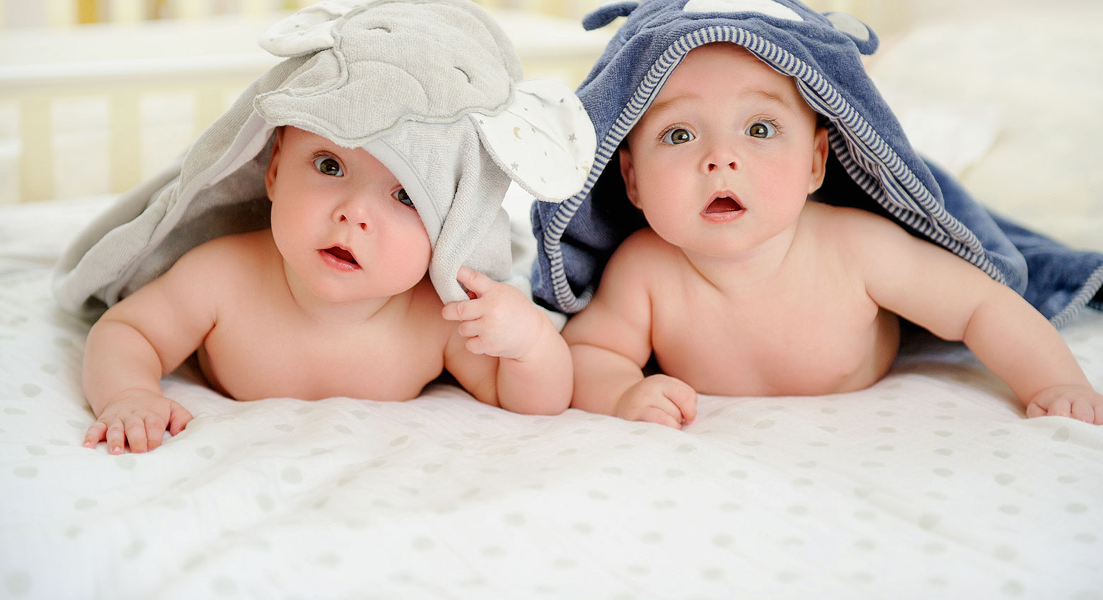 lovely Twins Babies image