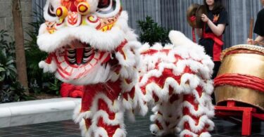 3d Chinese New Year