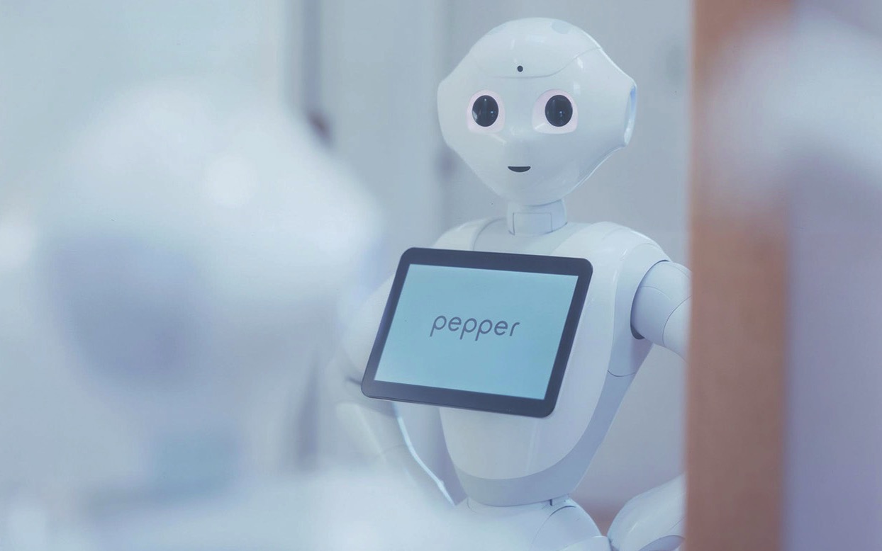 wonderful Pepper the Robot image