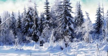 best Winter Wallpaper for iPad