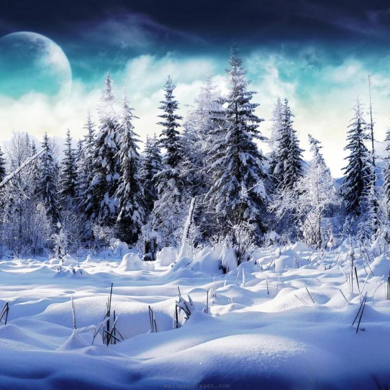 best Winter Wallpaper for iPad