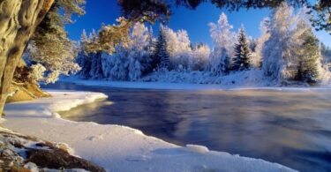 best nature Winter Desktop Wallpaper