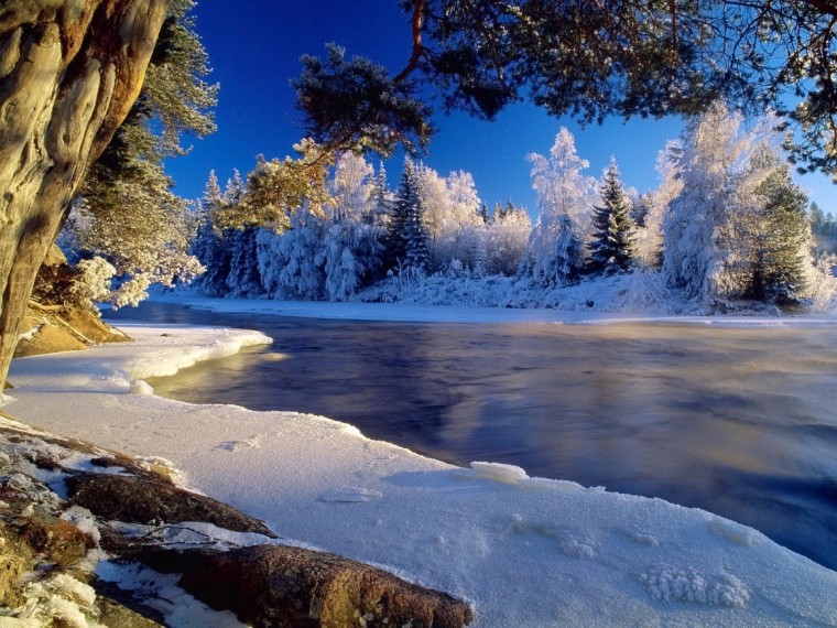 best nature Winter Desktop Wallpaper