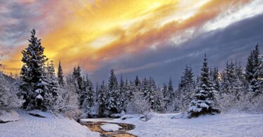 cool nature Winter Wallpaper for Mac