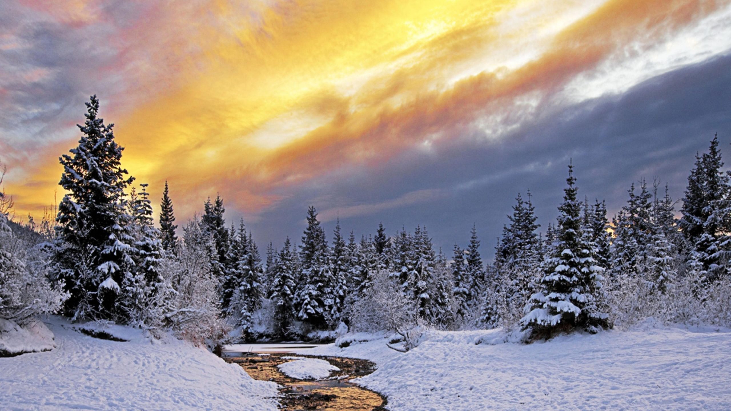 cool nature Winter Wallpaper for Mac