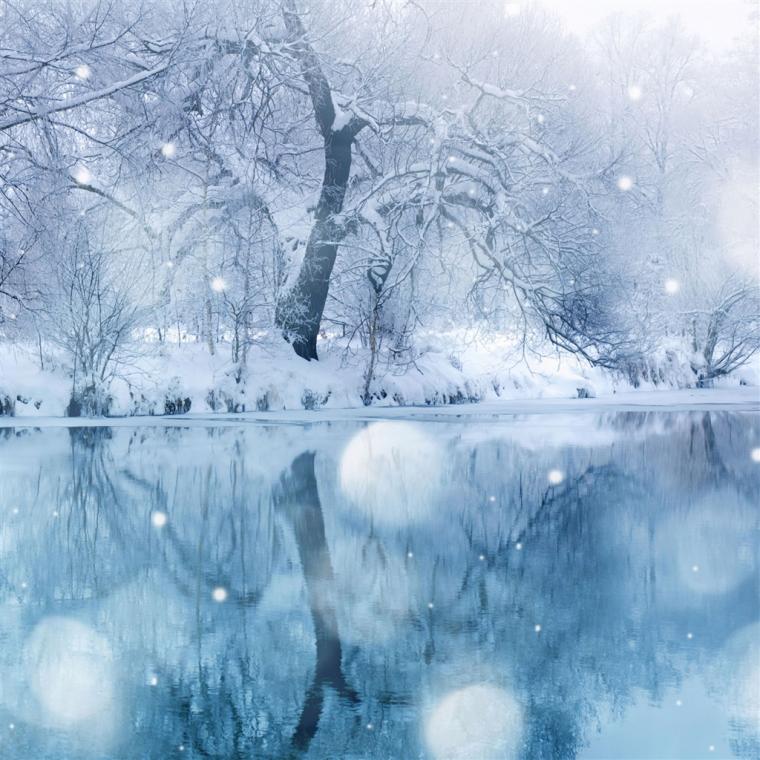 cool nature Winter Wallpaper for iPad